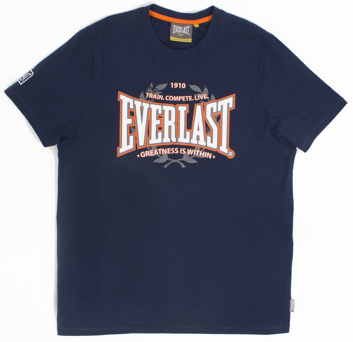 Футболка мужская Everlast Heritage, цвет: синий. EVR6520. Размер M (48/50)