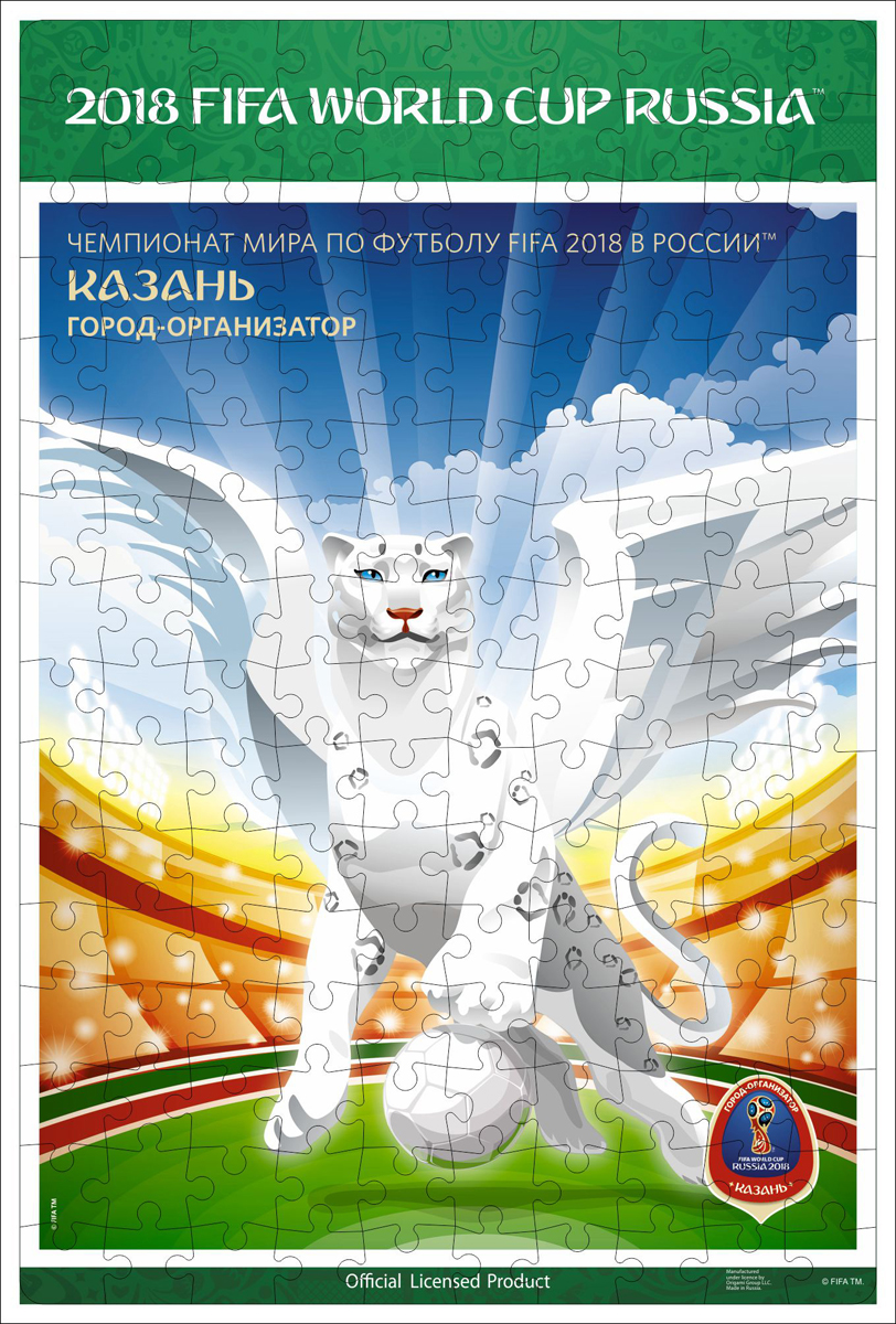 FIFA World Cup Russia 2018 Пазл Постеры Казань 03834