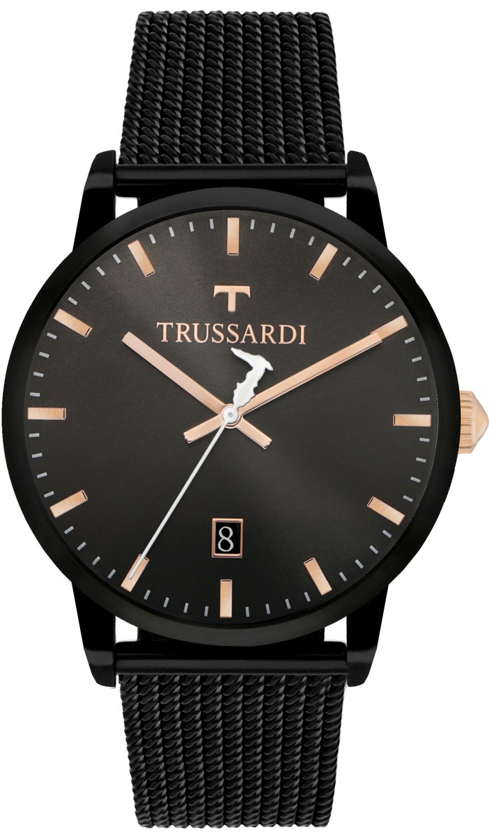Часы наручные мужские Trussardi My Time, цвет: черный. R2453113001