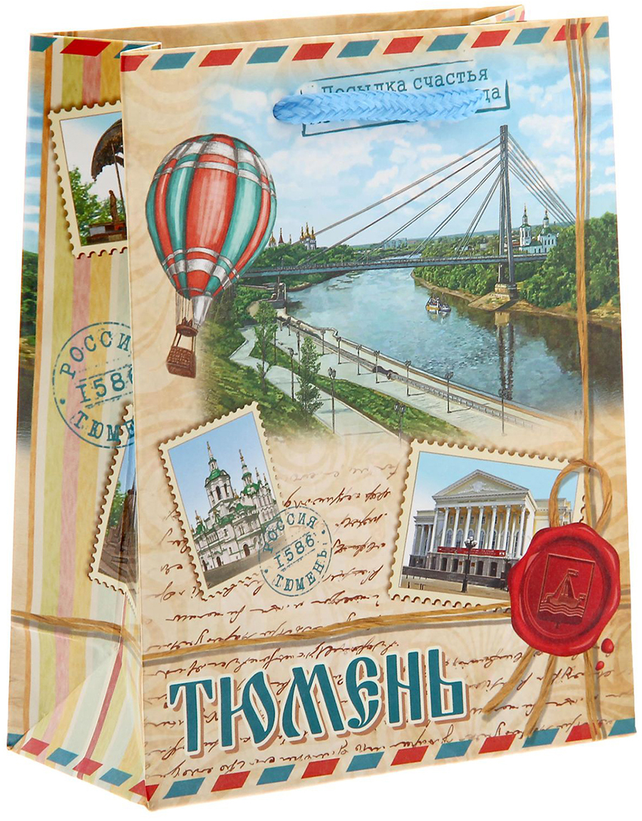 Пакет подарочный
