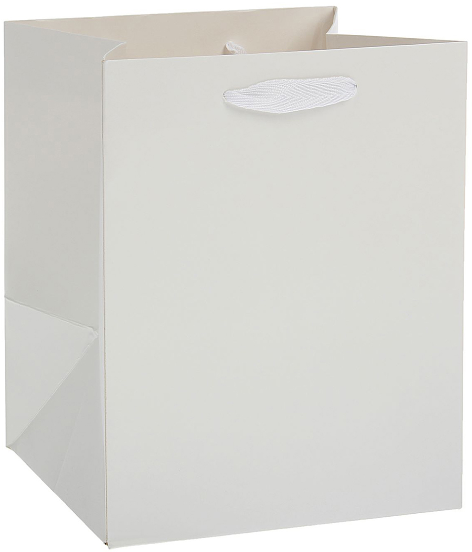 Пакет подарочный, цвет: белый, 25 х 20 х 19 см. 1537265