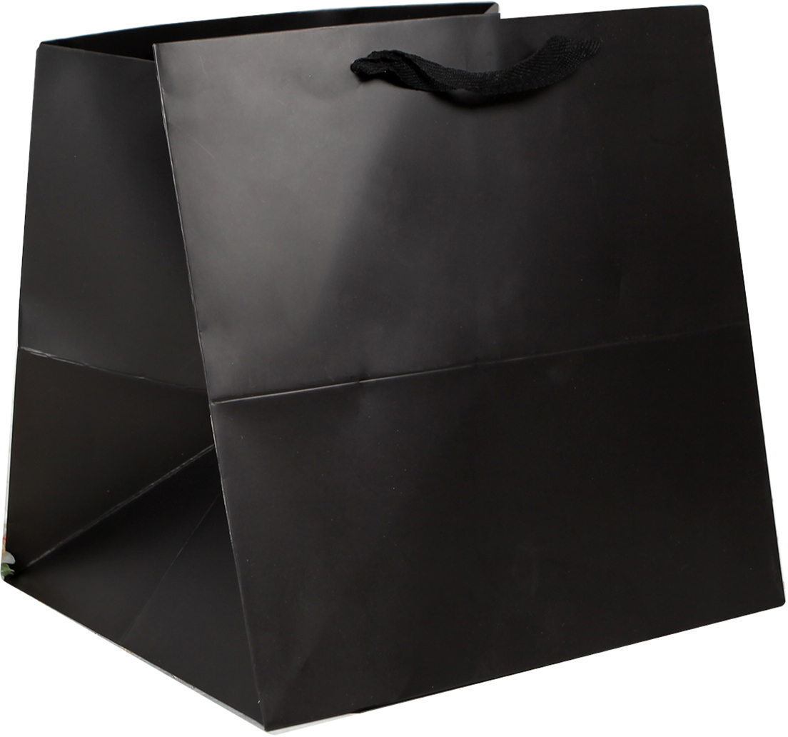 Пакет подарочный, цвет: черный, 30 х 30 х 30 см. 1537269