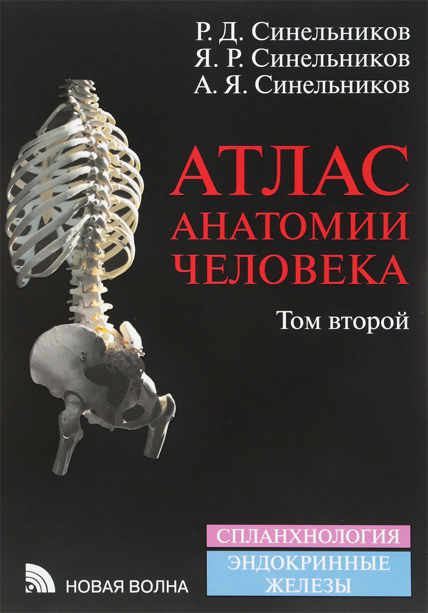 Атлас анатомии человека. В 4 томах. Том 2. Р. Д. Синельников, Я. Р. Синельников, А. Я. Синельников