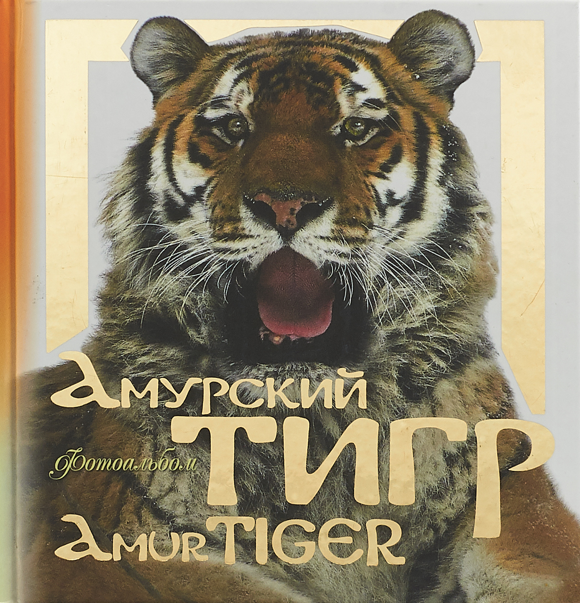 Амурский тигр: фотоальбом. А.Г. Бояринов