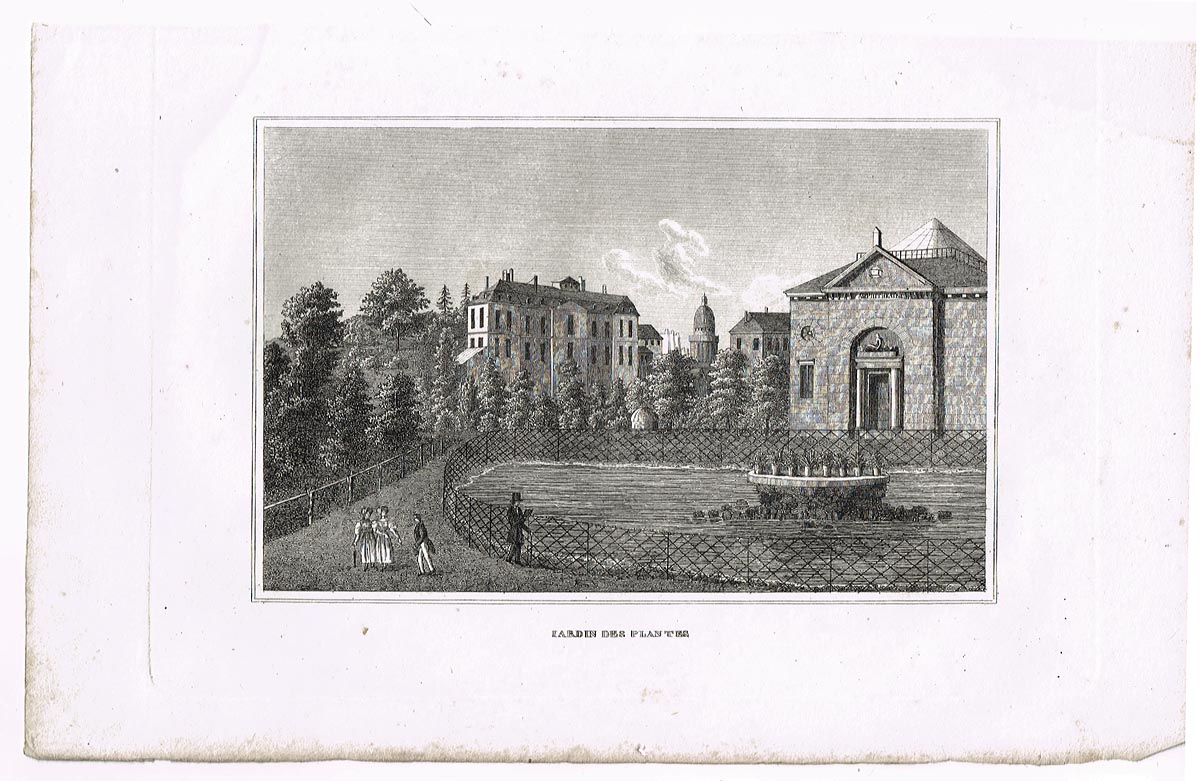 Сад растений Парижа (Jardin des plantes). Гравюра, офорт. Франция, 1830-1840 гг