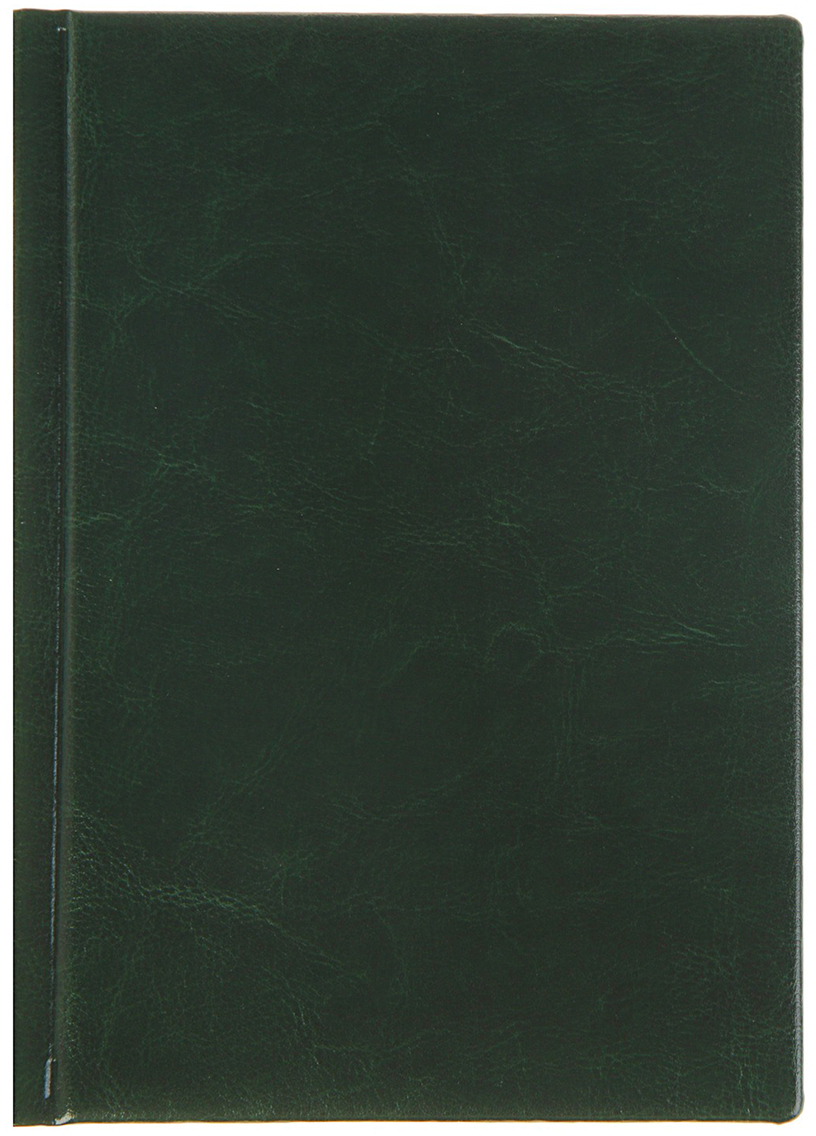 Проф-Пресс Ежедневник Виладж недатированный A5 160 листов цвет зеленый