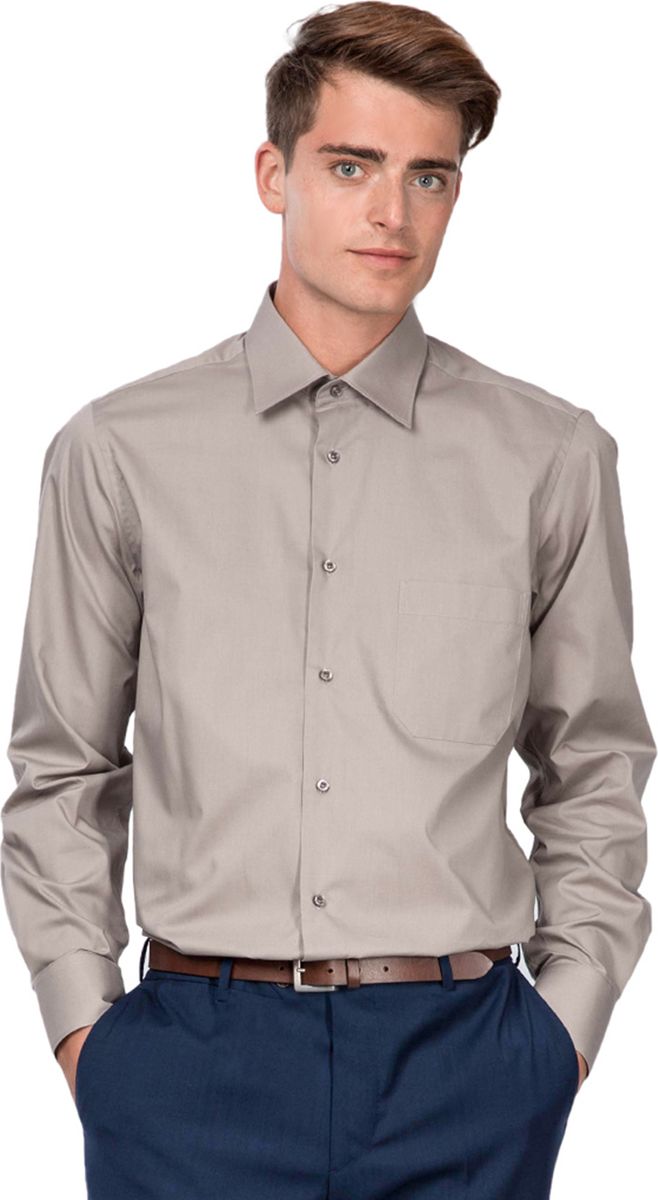 Рубашка мужская Allan Neumann Big size, цвет: серо-бежевый. 006021 LRCLF. Размер 43 (54/56-176)