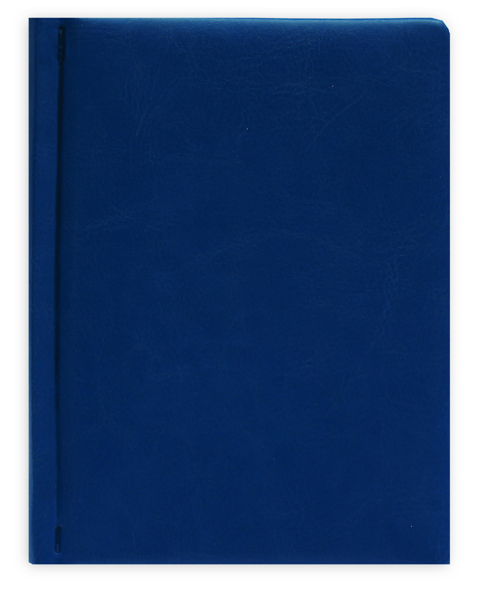 Prof Press Ежедневник Виладж 160 листов цвет синий