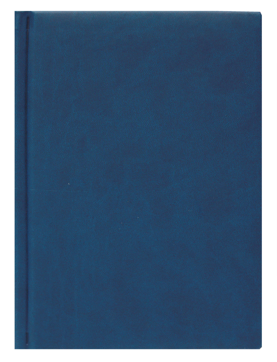 Prof Press Ежедневник недатированный цвет синий формат А5