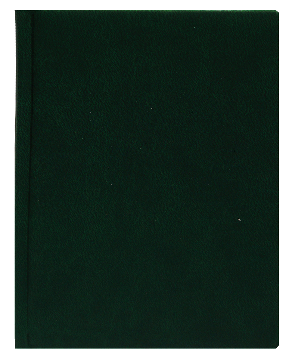 Prof Press Ежедневник недатированный цвет зеленый формат А5
