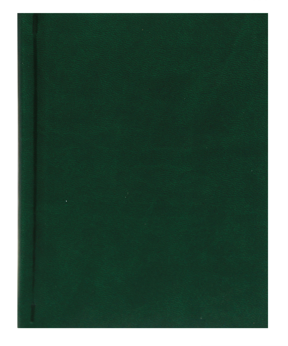Prof Press Ежедневник Глосс цвет зеленый 160 листов