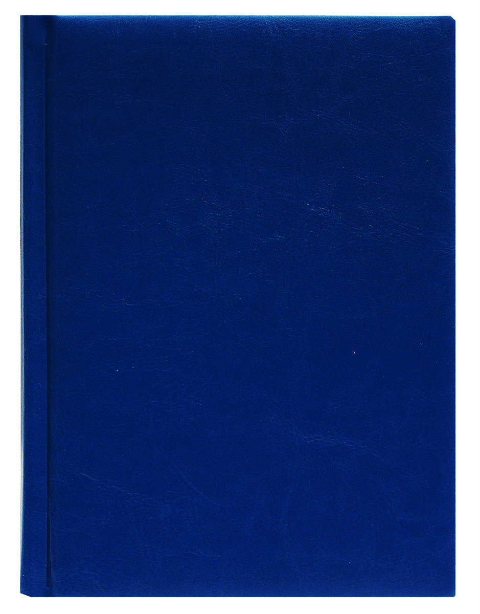 Prof Press Ежедневник Виладж цвет синий недатированный 160 листов формат А5