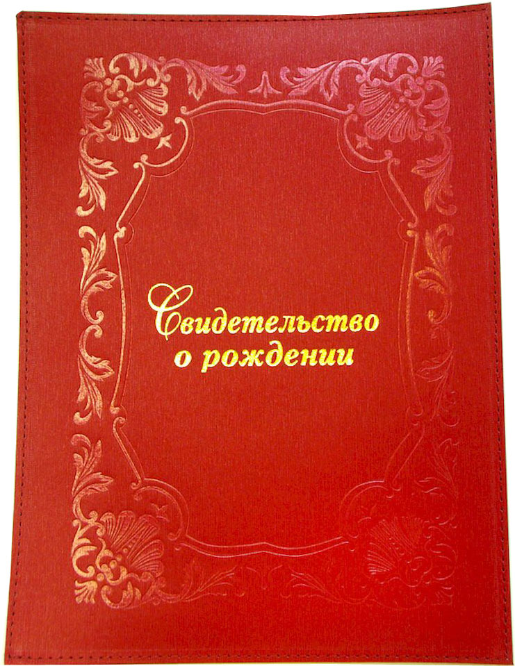 Обложка для свидетельства о рождении Family Treasures, цвет: красный. 978