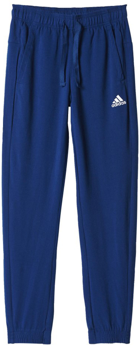 Брюки спортивные для девочки Adidas Yg Logo Pant, цвет: синий. BP8613. Размер 164
