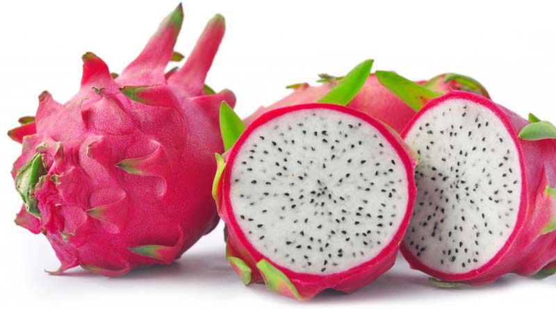 Dragon fruit картинка