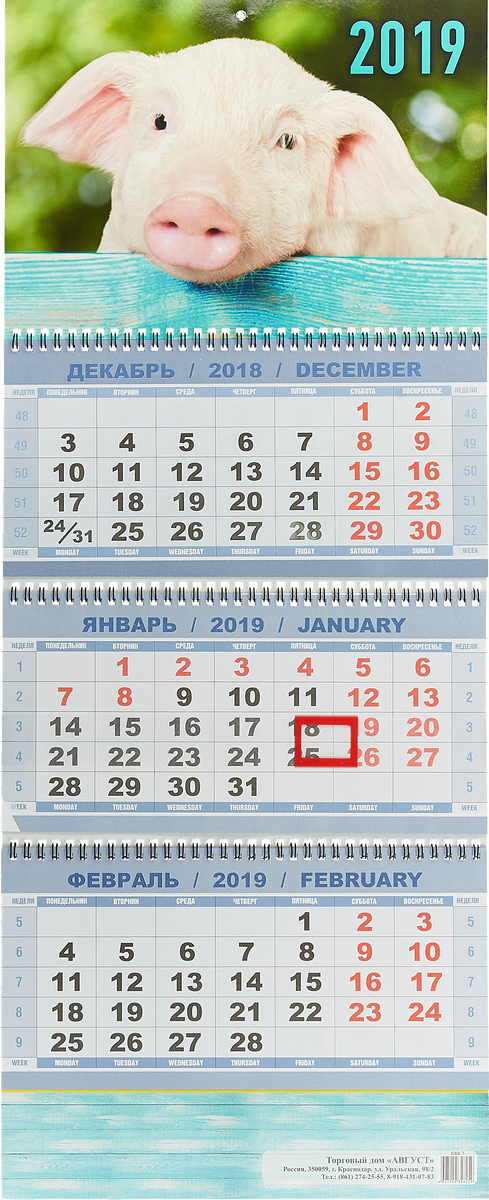 Календарь 2019 (на спирали). Символ года. Соло