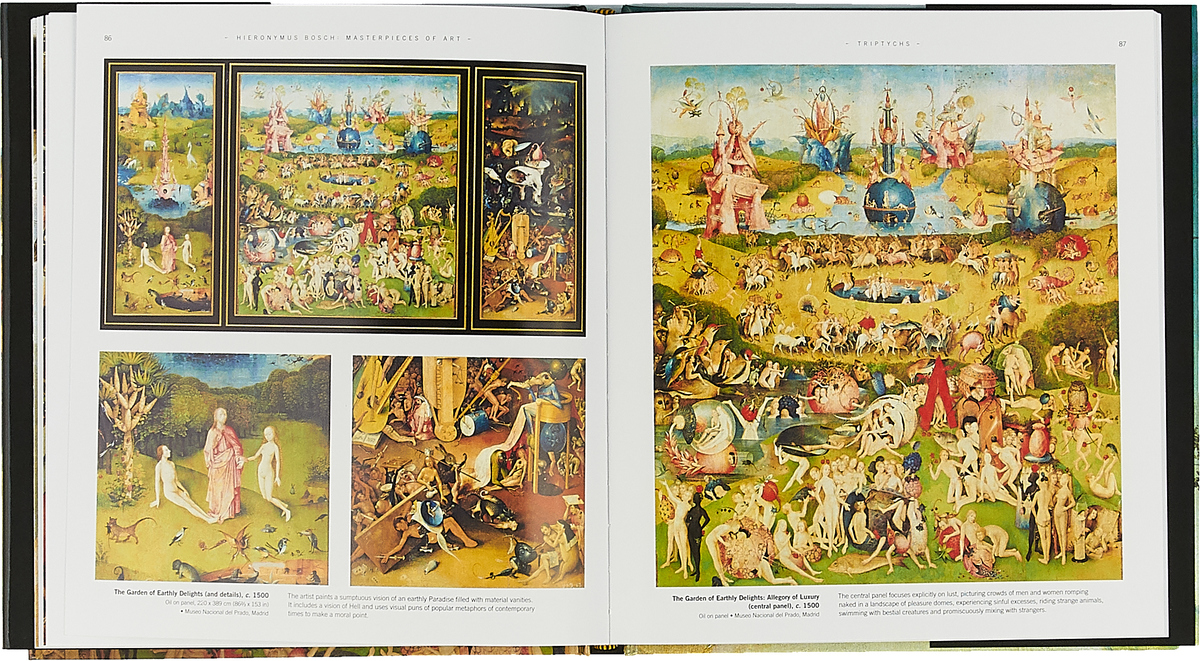 Hieronymus Bosch (Masterpieces of Art Series)