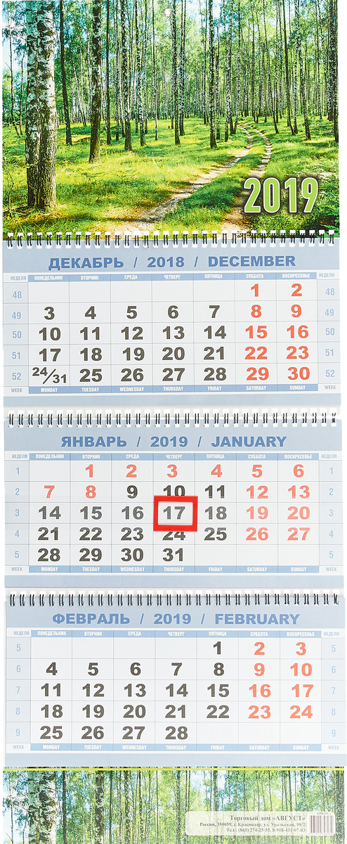 Календарь 2019 (на спирали). Берёзы