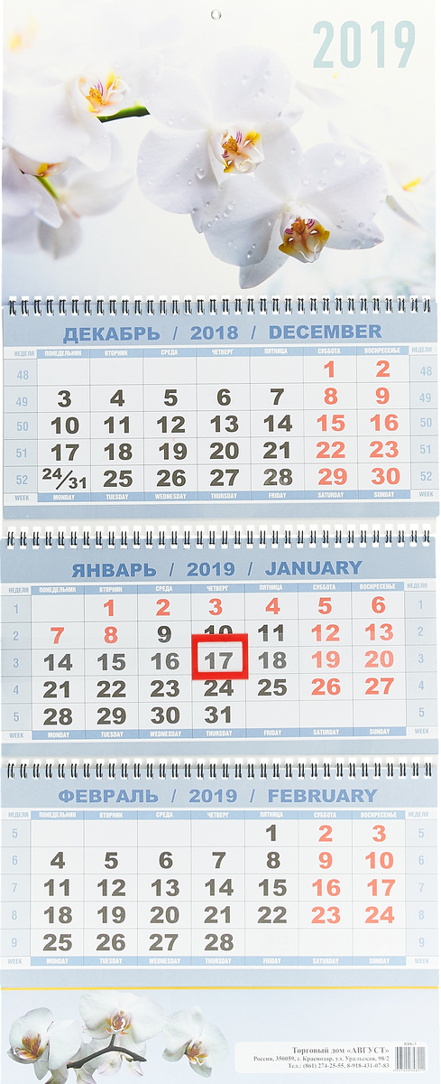 Календарь 2019 (на спирали). Орхидея