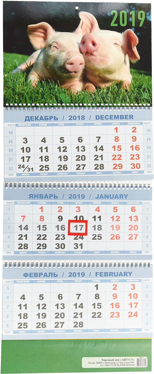 Календарь 2019 (на спирали). Символ года. Дуэт