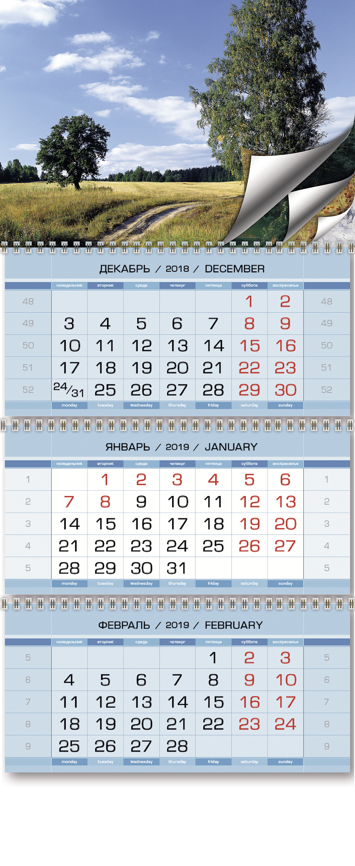 Календарь 2019 (на спирали). Родные просторы