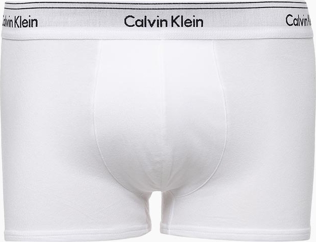Трусы мужские Calvin Klein Underwear, цвет: белый. NB1514A_100. Размер M (50)