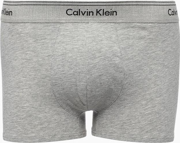 Трусы мужские Calvin Klein Underwear, цвет: серый. NB1514A_080. Размер L (52)