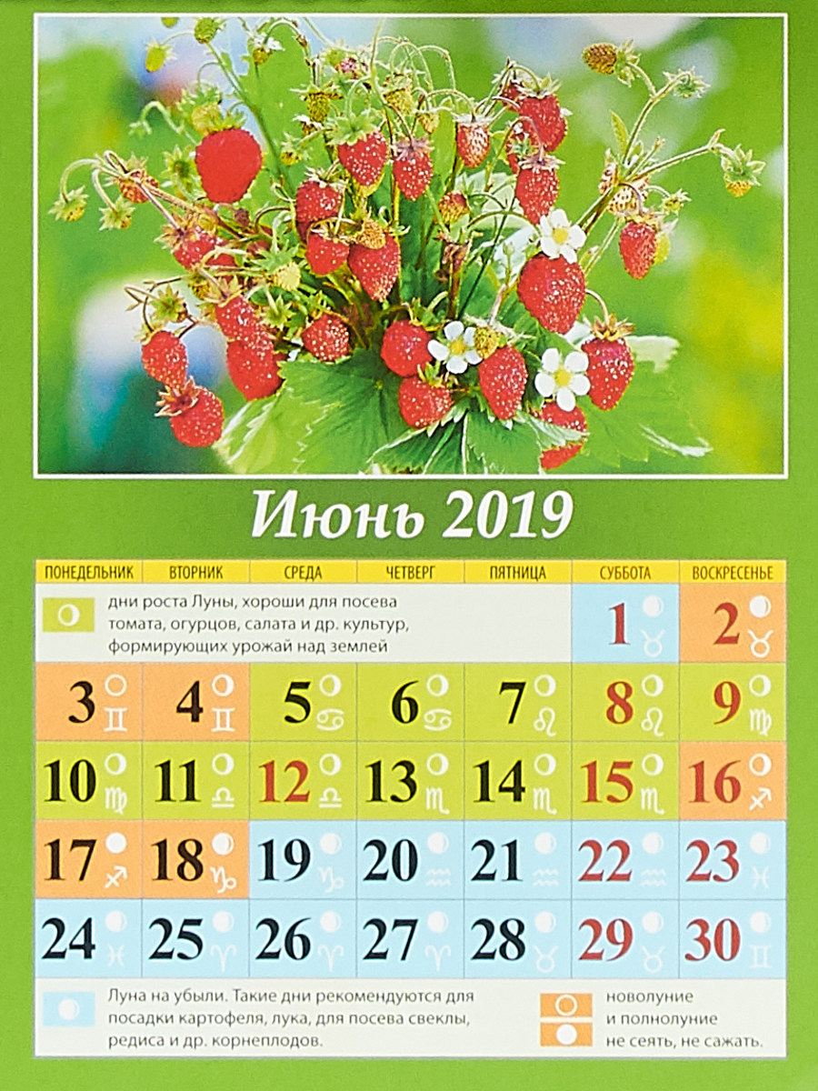 Сад и огород.Лунный календарь Календарь на магните отрывной 2019. Сад и огород.Лунный календарь Календарь на магните отрывной 2019.