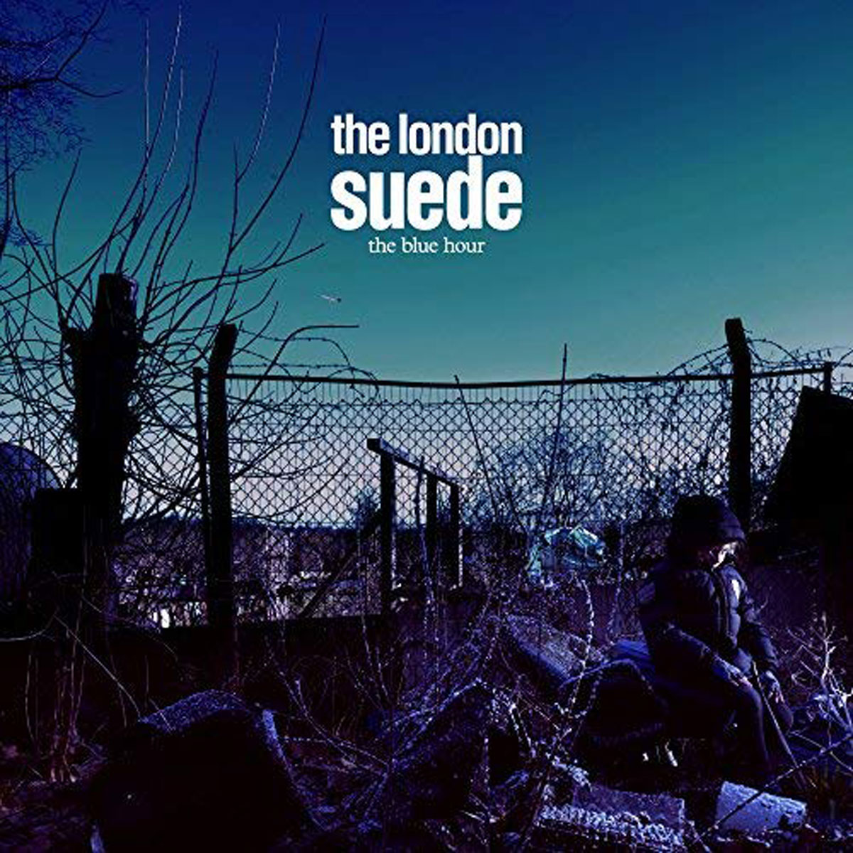 Suede. The Blue Hour