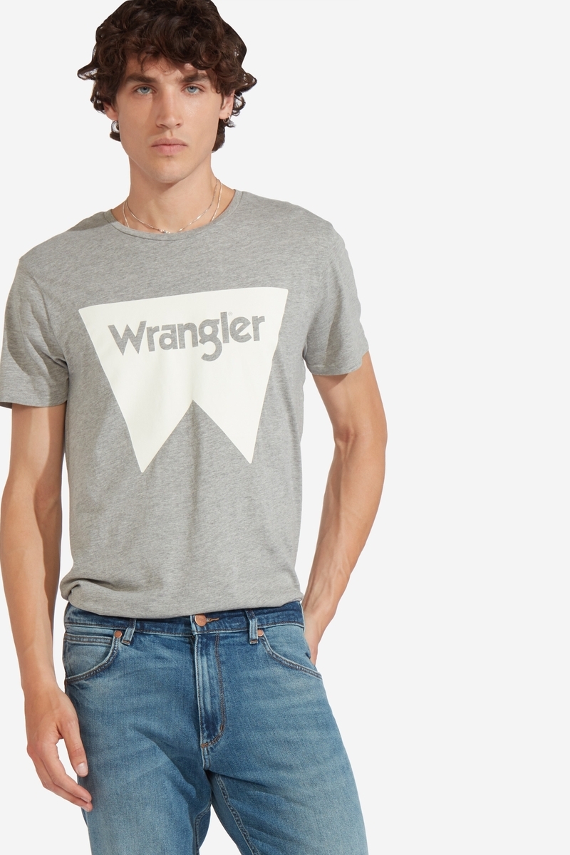 Футболка мужская Wrangler, цвет: серый. W7C24FQ37. Размер L (50)