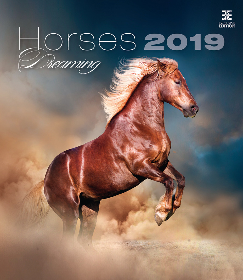 Horses Dreaming (  ) 2019