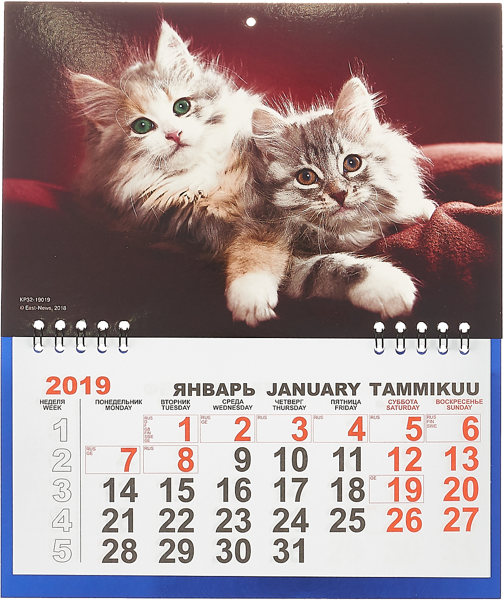 Календарь отрывной на 2019 год. Котята. Календарь отрывной на 2019 год. Котята.