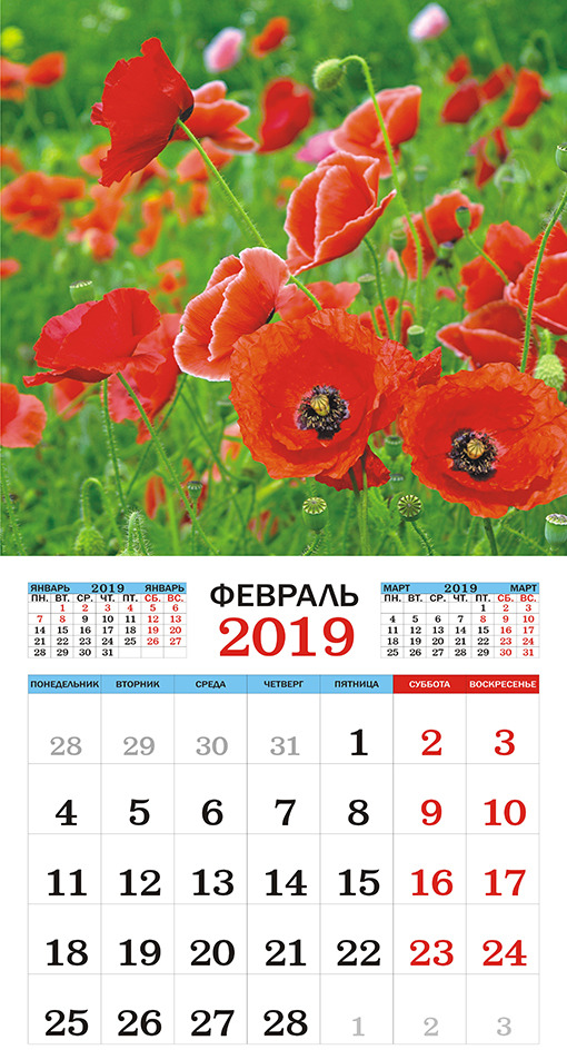 Календарь настенный на 2019 год (на скрепке). Полевые цветы. Календарь настенный на 2019 год (на скрепке). Полевые цветы.