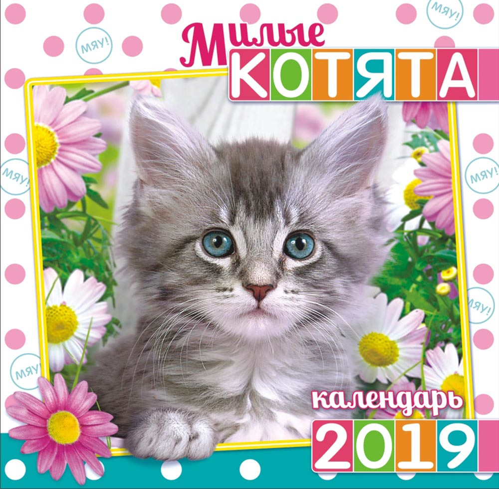 Календарь настенный на 2019 год (на скрепке). Кошки