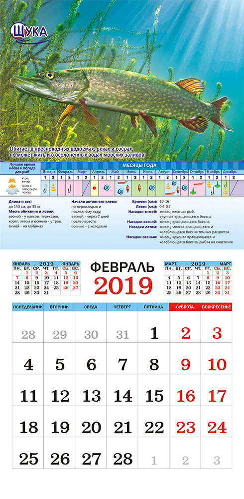 Календарь на 2019 год (на скрепке). Рыбалка. Календарь на 2019 год (на скрепке). Рыбалка.