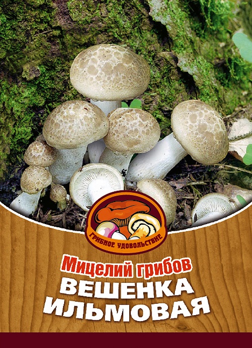 Мицелий грибов Вешенка ильмовая, 16 древесных палочек9103500790 Мицелий грибов Вешенка ильмовая, 16 древесных палочек9103500790Вешенка ильмовая - изумительный гриб. Он отлично смотрится на столе не только из-за своего белоснежного цвета, но и за счет внушительных размеров - его шляпка доходит до 18 см в диаметре!Благодаря мицелию грибов Вешенка ильмовая теперь вы без труда сможете вырастить любимые грибы у себя в саду или дома. И уже через год после посадки у вас появится первый урожай грибов. За один год можно собрать от 3 до 6 кг грибов с каждого бревна. Для того чтобы вырастить грибы вам понадобится: мицелий Грибное удовольствие, бревно лиственных пород (лучше всего береза, вяз, осина), дрель.Благоприятное время для посадки мицелия Вешенка ильмовая - в природных условиях с апреля по октябрь, в помещении - круглый год.Плодоносят мицелии в среднем от 3 до 5 лет, в зависимости от сорта грибов. Характеристики:Материал:древесная палочка. Размер упаковки:11 см х 15,5 см. Артикул:10031.