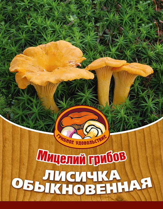 Мицелий грибов Лисичка обыкновенная, субстрат, 60 млSS 4041 Мицелий грибов Лисичка обыкновенная, субстрат, 60 млSS 4041Лисички можно приготовить по-разному: пожарить, отварить, засушить, замариновать или засолить, также потрясающе вкусны соусы из лисичек.Благодаря мицелию грибов Лисичка обыкновенная теперь вы без труда сможете вырастить любимые грибы у себя в саду или дома. И уже через год после посадки у вас появится первый урожай грибов. За один год можно собрать до 1/2 ведра с одного дерева. Для того чтобы вырастить грибы вам понадобится: мицелий Грибное удовольствие, дерево на дачном участке, лесная почва, лопата, мох, листовой опад, ветки. Благоприятное время для посадки мицелия Лисичка обыкновенная - круглый год.Плодоносят мицелии в среднем от 3 до 5 лет, в зависимости от сорта грибов. Характеристики:Материал:субстрат. Объем:60 мл. Размер упаковки:11 см х 15,5 см. Артикул:10014.