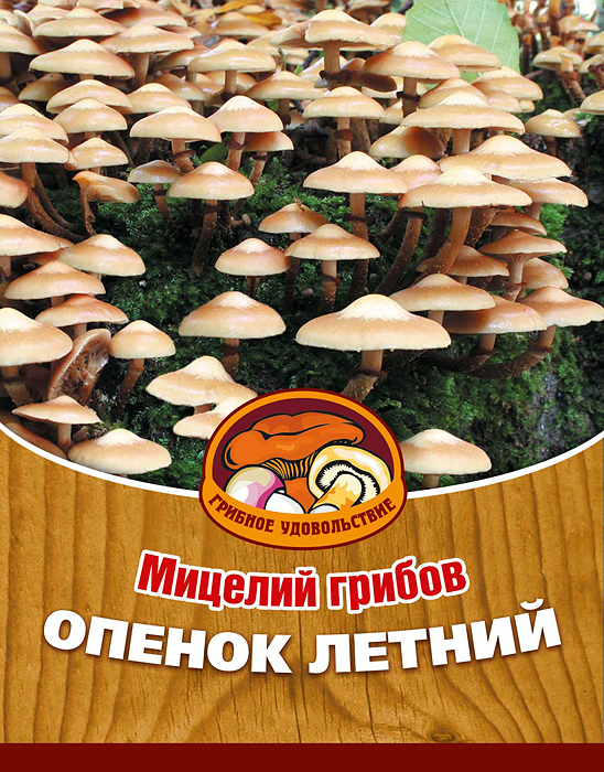 Мицелий грибов Опенок летний, 16 древесных палочекBH-SI0439-WW Мицелий грибов Опенок летний, 16 древесных палочекBH-SI0439-WWОпенок летний - вкусный, деликатесный гриб, обладает сильным ароматом и нежной мякотью. Его можно использовать для приготовления первых и вторых блюд, сушки, маринования и соления. Благодаря мицелию грибов Опенок летний теперь вы без труда сможете вырастить любимые грибы у себя в саду или дома. И уже через 3-5 месяцев после посадки у вас появится первый урожай грибов. За один год можно собрать от 3 до 6 кг с каждого бревна. Для того чтобы вырастить грибы вам понадобится: мицелий Грибное удовольствие, бревно или палка лиственных пород (бук, граб, ольха, осина, ясень, клен, береза, тополь, ива, каштан, дуб), дрель. Благоприятное время для посадки мицелия Опенок летний - в природных условиях с апреля по октябрь, в помещении - круглый год.Плодоносят мицелии в среднем от 3 до 5 лет, в зависимости от сорта грибов. Характеристики:Материал:древесная палочка. Размер упаковки:11 см х 15,5 см. Артикул:10008.