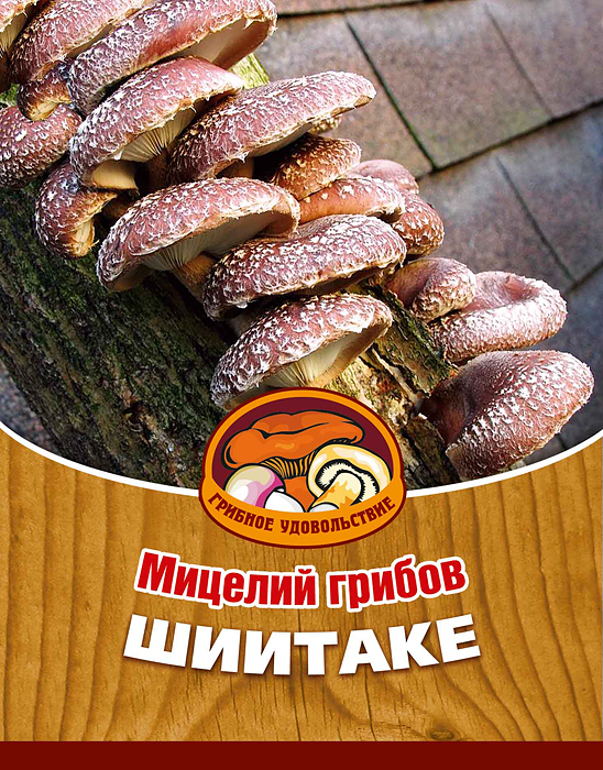 Мицелий грибов Шиитаке, 16 древесных палочекBH-SI0439-WW Мицелий грибов Шиитаке, 16 древесных палочекBH-SI0439-WWШиитаке - в Японии, Китае и Корее их считают самыми вкусными и необыкновенно целебными грибами. Лечебные свойства: повышает иммунитет, мужскую потенцию, нормализует кровяное давление, имеет противоопухолевые свойства.Благодаря мицелию грибов Шиитаке теперь вы без труда сможете вырастить любимые грибы у себя в саду или дома. И уже через 5-9 месяцев после посадки у вас появится первый урожай грибов. За один год можно собрать от 4 до 6 кг с каждого бревна. Для того чтобы вырастить грибы вам понадобится: мицелий Грибное удовольствие, бревно или палка лиственных пород (бук, тополь, береза, ива, клен, рябина и плодовые деревья), дрель. Благоприятное время для посадки мицелия Шиитаке - в природных условиях с апреля по октябрь, в помещении - круглый год.Плодоносят мицелии в среднем от 3 до 5 лет, в зависимости от сорта грибов. Характеристики:Материал:древесная палочка. Размер упаковки:11 см х 15,5 см. Артикул:10010.
