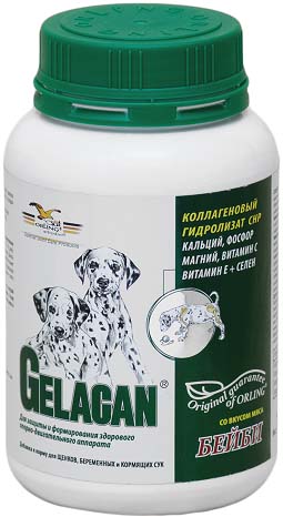 Добавка к корму для собак Orling Гелакан Бейби, 150 г. GLN-30120710 Добавка к корму для собак Orling Гелакан Бейби, 150 г. GLN-30120710Добавка к корму для собак Orling Гелакан Бейби интенсивно питает костную и другие соединительные ткани. Обеспечивает правильный рост, развитие и функционирование скелета щенков и молодых собак. Защищает опорно-двигательный аппарат щенной и лактирующей суки. Показания:- для профилактики нарушений опорно-двигательного аппарата щенков и молодых собак (особенно крупных пород) в период роста, а также щенных и лактирующих сук;- для правильного роста, развития и формирования скелета щенков и молодых собак;- для предотвращения чрезмерного или недостаточного роста скелетных структур, связанного с неправильной минерализацией;- для предотвращениядеминерализации скелета беременных и кормящих сук.Способ применения:Применяется внутрь. Предварительно обязательно растворить в воде! Давать ежедневно с привычным для собаки кормом. В идеальном случае применение Гелакан Бейби следует начать со второй половины беременности суки, продолжать весь период кормления и еще в течение месяца после отъема щенков. Щенкам начать давать после отъема от матери и продолжать до окончания роста костяка. Давать собакам в количестве, указанном на этикетке в соответствии с весом собаки.Состав (на 1 кг): коллаген СНР 245 г, кальций 117 г, фосфор 98 г, магний 24 г, селен 0,4 мг, бета-каротин 0,06 г, витамин С 6 г, витамин Е 0,4 г. Вес: 500 г. Товар сертифицирован.
