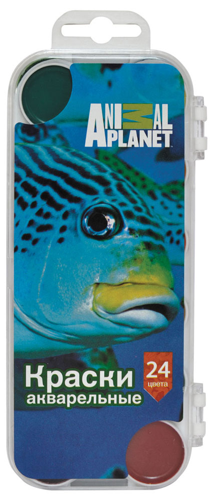 Акварель медовая Action! Animal Planet, без кисти, 24 цветаFS-00261 Акварель медовая Action! Animal Planet, без кисти, 24 цветаFS-00261Акварель Action! Animal Planet предназначена для детского творчества и различных художественных работ. Краски имеют яркие насыщенные цвета, легко наносятся, быстро сохнут и безвредны для здоровья ребенка. Акварель изготовлена на основе органических пигментов с добавлением патоки. Комплект включает в себя акварельные краски 24-х цветов.