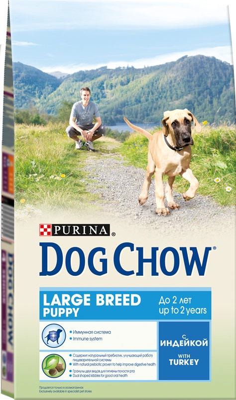 Корм сухой Dog Chow для щенков крупных пород, с индейкой, 2,5 кг0120710 Корм сухой Dog Chow для щенков крупных пород, с индейкой, 2,5 кг0120710Корм сухой Dog Chow - полнорационный и сбалансированный корм для щенков крупных пород до 2 лет с индейкой. Подходит для кормления беременных и лактирующих собак крупных пород. Высокое содержание мяса. Создан специально для поддержания естественных защитных механизмов и обеспечения правильного роста щенков крупных пород (ожидаемая масса тела взрослой собаки >25 кг). Иммунная система. Корм содержит витамин Е, который в качестве антиоксиданта участвует в борьбе со свободными радикалами и укрепляет естественную защиту организма. Необходимые минеральные элементы и витамины для формирования крепких зубов и костей. Оптимальное соотношение белков и жиров для гармоничного роста вашего щенка крупной породы. Содержит омега-3 жирную кислоту, необходимую для развития головного мозга и зрительного аппарата. Гранулы двух видов помогают щенку научиться пережевывать пищу, что способствует формированию правильного пищевого поведения, обеспечивает достаточное потребление калорий и гигиену ротовой полости с первых дней жизни. Наши диетологи тщательно протестировали это сочетание гранул для гарантии того, что они подходят и нравятся собакам различных пород. Содержит натуральный пребиотик, улучшающий работу пищеварительной системы. В состав кормов входит цикорий - источник натурального пребиотика, который, как показали исследования, способствует росту численности полезных кишечных бактерий и нормализации деятельности пищеварительной системы. Через 30 дней питания кормом Dog Chow количество бифидобактерий может возрастать в 100 раз, помогая Вашей собаке сохранять хорошее пищеварение. Состав: злаки, мясо и продукты переработки мяса (8%), продукты переработки сырья растительного происхождения, масла и жиры, экстракт растительного белка, овощи (сухой корень цикория), минеральные вещества, витамины, антиоксиданты. Добавленные вещества (на 1 кг): витамин А 22600 МЕ, витамин D3 1300 МЕ, витамин Е 105 МЕ, железо 93,9 мг, йод 2,3 мг, медь 10,4 мг, марганец 7,1 мг, цинк 168,6 мг, селен 0,23 мг. Гарантируемые показатели: белок 28%, жир 12%, сырая зола 7,5%, сырая клетчатка 2,5%, Омега-3 жирная кислота 0,05%.Вес: 2,5 кг.Товар сертифицирован.