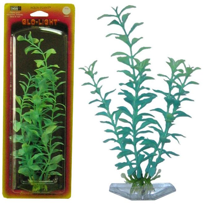 Растение BLOOMING LUDWIGIA 22см сине-зеленое светящееся. ЛЮДВИГИЯ0120710 Растение BLOOMING LUDWIGIA 22см сине-зеленое светящееся. ЛЮДВИГИЯ0120710Распространение: Серевная Америка. Использование: эффектный светящийся вариант популярного растения.