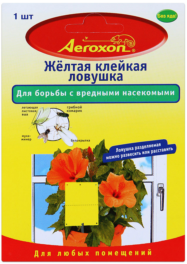 Клейкая ловушка Aeroxon для борьбы с вредными насекомыми, цвет: желтыйBH-SI0439-WW Клейкая ловушка Aeroxon для борьбы с вредными насекомыми, цвет: желтыйBH-SI0439-WWКлейкая ловушка Aeroxon эффективно борется с белокрылкой, грибным комариком, летающей листовой вошью, мухой-минером, трипсами и другими насекомыми. Готова к применению, не содержит ядов, со специальной приманивающей окраской. Рекомендуется для применения на комнатных, балконных растениях и в теплицах. Специальный клей без запаха и отравляющих примесей прочно удерживает пойманных насекомых. Нападение насекомых заметно снижается. Клей не высыхает и не стекает даже при высоких комнатных температурах. Следует пользоваться ловушками только в закрытых помещениях, чтобы не навредить таким насекомым, как пчелы и майские жуки.Изделие можно как подвесить на растение с помощью проволочки, так и воткнуть в землю, предварительно насадив на ленту металлический стержень.Товар сертифицирован.