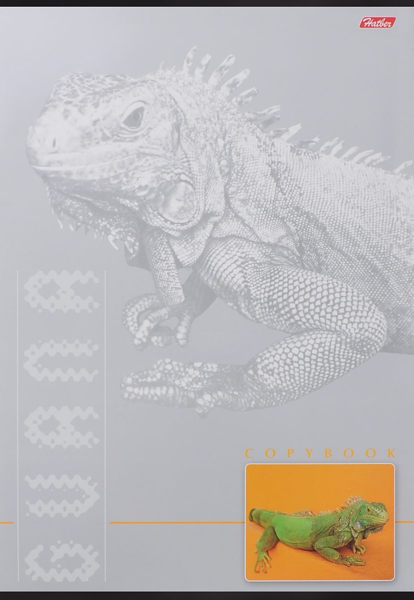 Hatber Тетрадь Guana 96 листов в клетку72523WD Hatber Тетрадь Guana 96 листов в клетку72523WDТетрадь Hatber Guana подойдет как школьнику, так и студенту.Обложка тетради выполнена из картона и дополнена изображением ящерицы.Внутренний блок тетради на металлических скобах состоит из 96 листов белой бумаги с линовкой в клетку голубого цвета без полей.