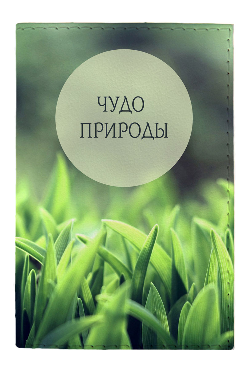 Обложка для паспорта Mitya Veselkov Чудо природы, цвет: зеленый. OZAM390OZAM142 Обложка для паспорта Mitya Veselkov Чудо природы, цвет: зеленый. OZAM390OZAM142Обложка для паспорта Mitya Veselkov Чудо природы не только поможет сохранить внешний вид ваших документов и защитить их от повреждений, но и станет стильным аксессуаром, идеально подходящим вашему образу.Она выполнена из поливинилхлорида, внутри имеет два вертикальных кармашка из прозрачного пластика.Такая обложка поможет вам подчеркнуть свою индивидуальность и неповторимость!Обложка для паспорта стильного дизайна может быть достойным и оригинальным подарком.