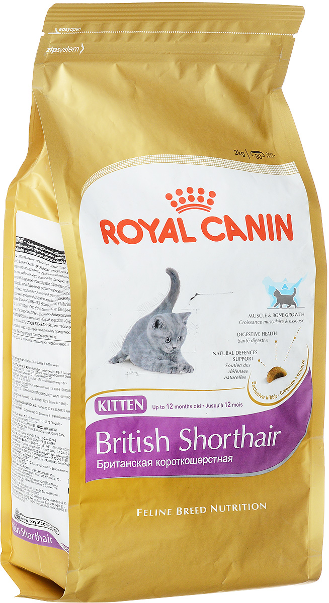 Корм сухой Royal Canin British Shorthair Kitten, для британских короткошерстных котят в возрасте от 4 до 12 месяцев, 2 кг0120710 Корм сухой Royal Canin British Shorthair Kitten, для британских короткошерстных котят в возрасте от 4 до 12 месяцев, 2 кг0120710Royal Canin British Shorthair Kitten - полнорационный корм для британских короткошерстных котят в возрасте от 4 до 12 месяцев. Фаза роста - ключевой этап развития котят этой удивительной породы, который определяет их будущее. Крупная и мускулистая, британская короткошерстная кошка уже с самого раннего возраста имеет особые потребности в питании. Сохраняются они и в дальнейшем, позволяя животному оставаться в форме. Очень многое из того, что важно для развития котят-британцев, зависит от корма.Здоровый рост котенка. Здоровье и прочность костей и мышц котенка британской короткошерстной породы существенно зависят от того, как пройдет фаза роста. Вот почему в это время так важен выбор подходящей диеты. Учитывая, что кошки этой породы не слишком подвижны и имеют склонность к полноте, им с самого раннего возраста нужно особое питание, причем в ограниченном объеме.Потребность в очень легко усваиваемом корме. Примерно до 12 месяцев пищеварительная система животного еще не окончательно сформирована. На этом этапе котята-британцы нуждаются в специализированном корме.Высокая нагрузка на иммунную систему. Процесс роста - это процесс изменений и познания мира. Однако иммунная система котенка еще не окрепла. После отъема от кошки ему требуется корм, который поддержит его естественную защиту.Рост костей и мышц. Отличительная особенность британской короткошерстной кошки - мощные кости и мускулы. Продукт British Shorthair Kitten позволяет поддерживать здоровье мускулатуры и скелета благодаря наличию специально обработанных белков и сбалансированному сочетанию минеральных веществ и витаминов. Формула обогащена L-карнитином.Здоровье пищеварительной системы. Продукт помогает поддерживать баланс кишечной флоры и обеспечивает оптимальную переносимость благодаря наличию пребиотиков и белков с высокой усвояемостью L.I.P.Поддержка естественной защиты. Естественная защита организма поддерживается благодаря эксклюзивному комплексу антиоксидантов.Эксклюзивная крокета, специально разработанная для котят британской короткошерстной породы. Формы крокеты позволяет им легче захватывать и тщательно разгрызать корм. Состав: дегидратированные белки животного происхождения (птица), рис, изолят растительных белков, животные жиры, кукуруза, кукурузная клейковина, гидролизат белков животного происхождения, растительная клетчатка, минеральные вещества, свекольный жом, рыбий жир, соевое масло, дрожжи, оболочка и семена подорожника 0,5%, фруктоолигосахариды, гидролизат дрожжей (источник мaннановых олигосахаридов), масло огуречника аптечного, экстракт бархатцев прямостоячих (источник лютеина), гидролизат из панциря ракообразных (источник глюкозамина), гидролизат из хряща (источник хондроитина).Добавки: витамин А 28900 МЕ, витамин D3 800 МЕ, железо 38 мг, йод 3,9 мг, марганец 50 мг, цинк 150 мг, селен 0,07 мг, L-карнитин 50 мг.Товар сертифицирован.Уважаемые клиенты!Обращаем ваше внимание на возможные изменения в дизайне упаковки. Качественные характеристики товара остаются неизменными. Поставка осуществляется в зависимости от наличия на складе.