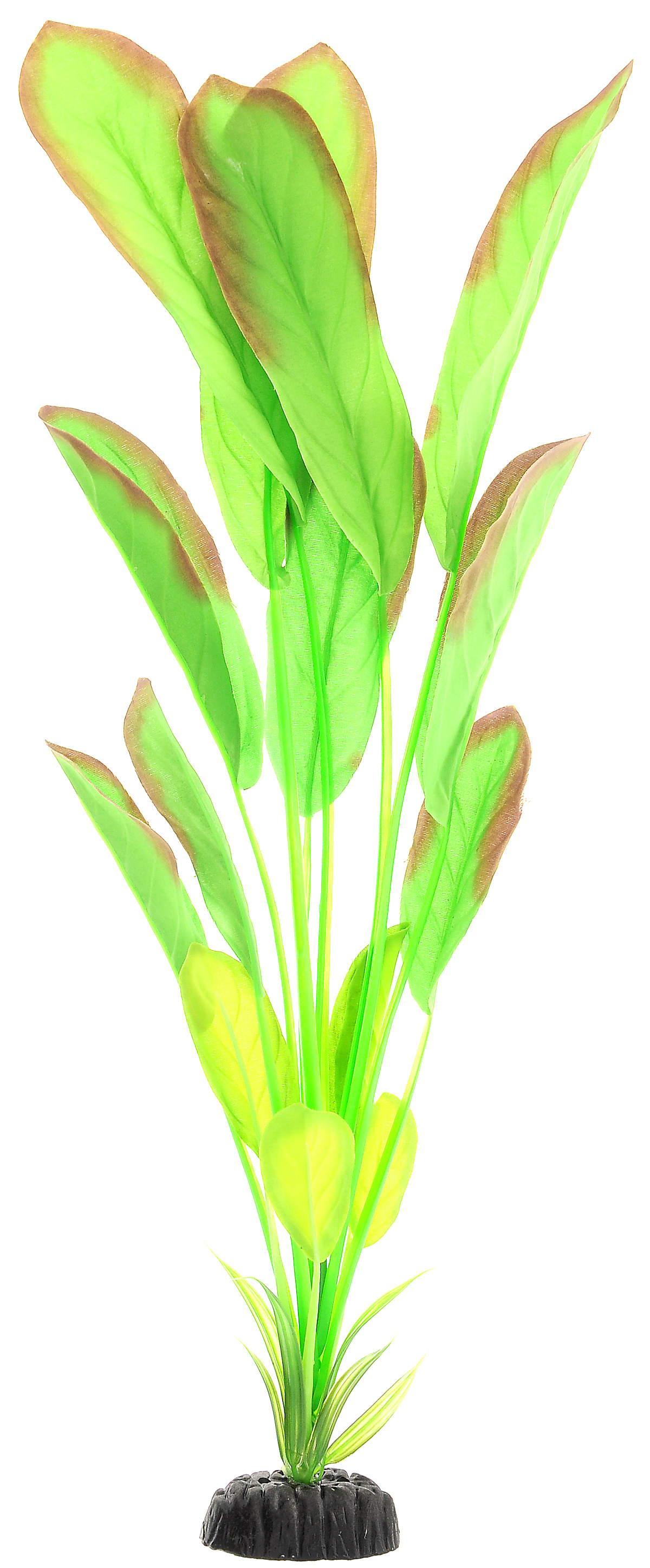 Растение для аквариума Barbus Эхинодорус, шелковое, высота 50 см. Plant 037/50Q-200 Растение для аквариума Barbus Эхинодорус, шелковое, высота 50 см. Plant 037/50Q-200Растение для аквариума Barbus Эхинодорус, выполненное из высококачественного нетоксичного пластика и шелка, станет прекрасным украшением вашего аквариума. Шелковое растение идеально подходит для дизайна всех видов аквариумов. В воде происходит абсолютная имитация живых растений. Изделие не требует дополнительного ухода и просто в применении.Растение абсолютно безопасно, нейтрально к водному балансу, устойчиво к истиранию краски, подходит как для пресноводного, так и для морского аквариума. Растение для аквариума Barbus Эхинодорус поможет вам смоделировать потрясающий пейзаж на дне вашего аквариума или террариума.