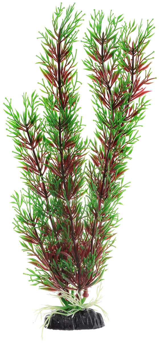 Растение для аквариума Barbus Перистолистник красный, пластиковое, высота 30 смPlant 001/30 Растение для аквариума Barbus Перистолистник красный, пластиковое, высота 30 смPlant 001/30Растение Barbus Перистолистник красный, выполненное из высококачественного нетоксичного пластика, станет прекрасным украшением вашего аквариума. Пластиковое растение идеально подходит для дизайна всех видов аквариумов. В воде происходит абсолютная имитация живых растений. Изделие не требует дополнительного ухода. Оно абсолютно безопасно, нейтрально к водному балансу, устойчиво к истиранию краски, подходит как для пресноводного, так и для морского аквариума. Растение для аквариума Barbus Перистолистник красный поможет вам смоделировать потрясающий пейзаж на дне вашего аквариума.Высота растения: 30 см.
