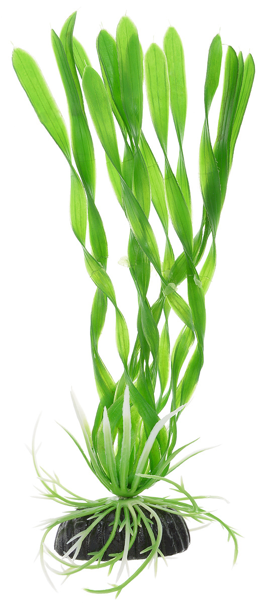 Растение для аквариума Barbus Валлиснерия спиральная, пластиковое, высота 20 смPlant 002/10 Растение для аквариума Barbus Валлиснерия спиральная, пластиковое, высота 20 смPlant 002/10Растение для аквариума Barbus Валлиснерия спиральная, выполненное из качественного пластика, станет оригинальным украшением вашего аквариума. Пластиковое растение идеально подходит для дизайна всех видов аквариумов. Оно абсолютно безопасно, не токсично, нейтрально к водному балансу, устойчиво к истиранию краски, подходит как для пресноводного, так и для морского аквариума. Растение для аквариума Barbus поможет вам смоделировать потрясающий пейзаж на дне вашего аквариума или террариума. Высота растения: 20 см.
